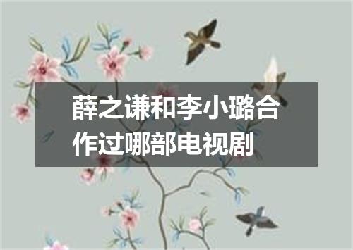 薛之谦和李小璐合作过哪部电视剧