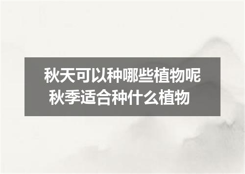 秋天可以种哪些植物呢 秋季适合种什么植物