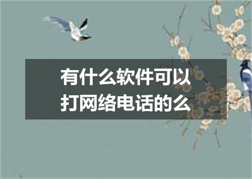 有什么软件可以打网络电话的么