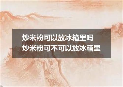 炒米粉可以放冰箱里吗 炒米粉可不可以放冰箱里