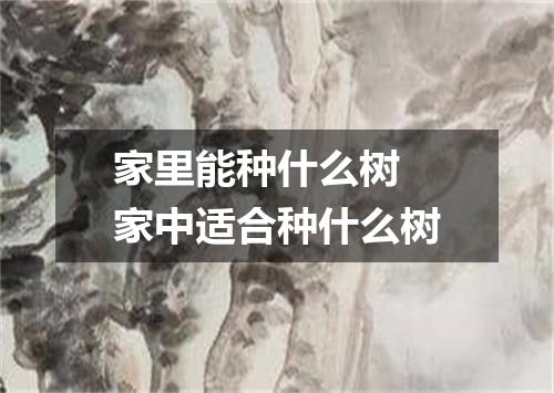 家里能种什么树 家中适合种什么树