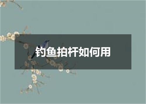 钓鱼拍杆如何用