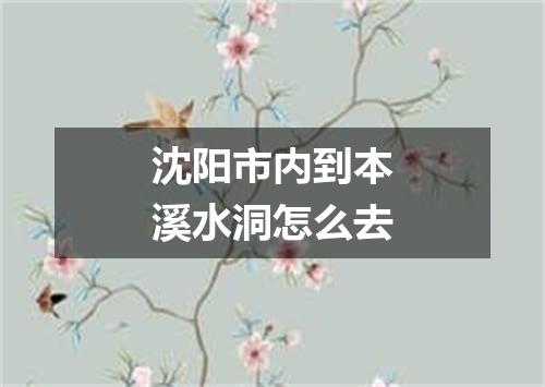 沈阳市内到本溪水洞怎么去
