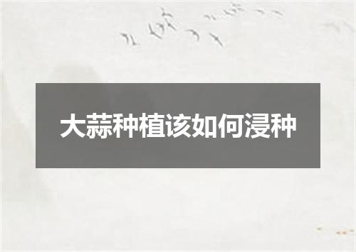 大蒜种植该如何浸种