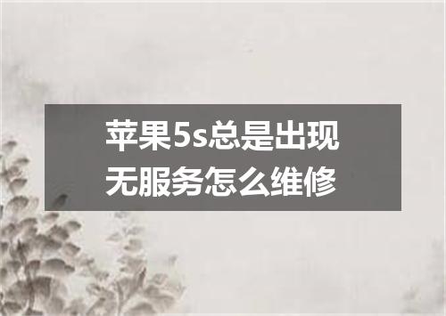 苹果5s总是出现无服务怎么维修