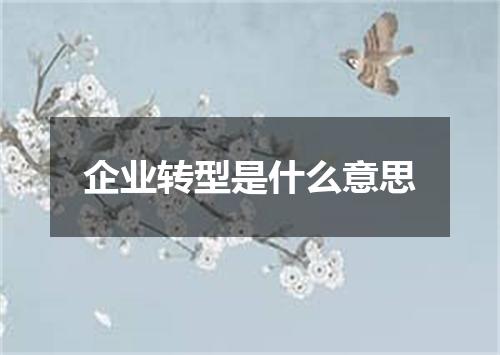企业转型是什么意思