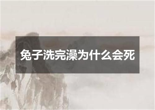 兔子洗完澡为什么会死