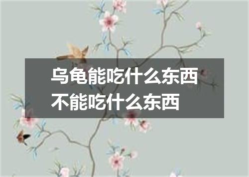 乌龟能吃什么东西不能吃什么东西
