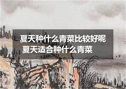 夏天种什么青菜比较好呢 夏天适合种什么青菜