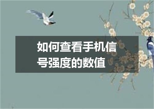 如何查看手机信号强度的数值