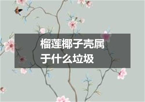 榴莲椰子壳属于什么垃圾