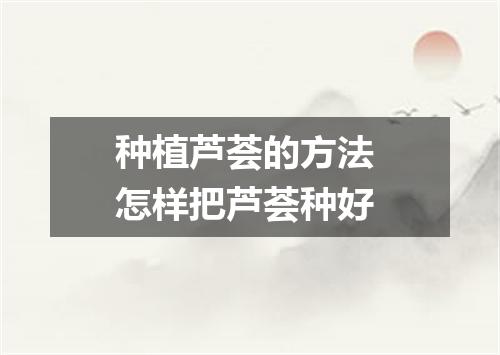 种植芦荟的方法 怎样把芦荟种好