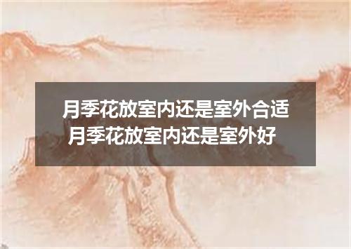 月季花放室内还是室外合适 月季花放室内还是室外好