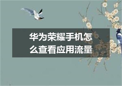 华为荣耀手机怎么查看应用流量
