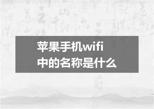 苹果手机wifi中的名称是什么