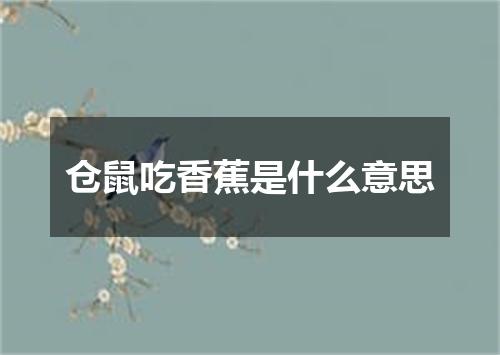 仓鼠吃香蕉是什么意思