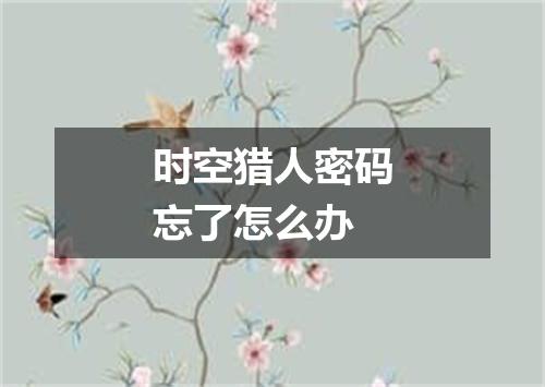 时空猎人密码忘了怎么办