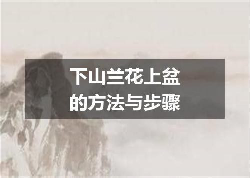 下山兰花上盆的方法与步骤