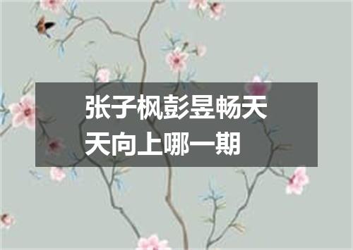 张子枫彭昱畅天天向上哪一期