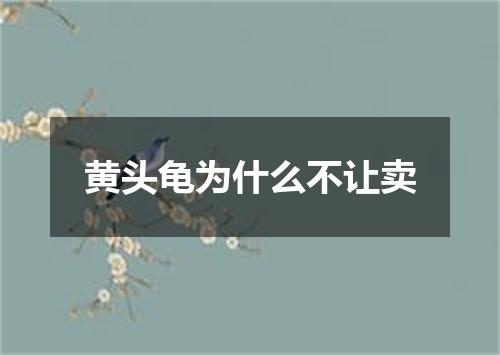 黄头龟为什么不让卖