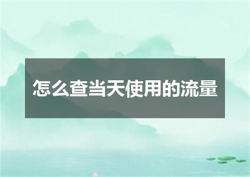 怎么查当天使用的流量