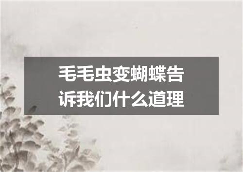 毛毛虫变蝴蝶告诉我们什么道理
