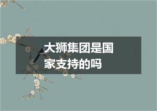 大狮集团是国家支持的吗