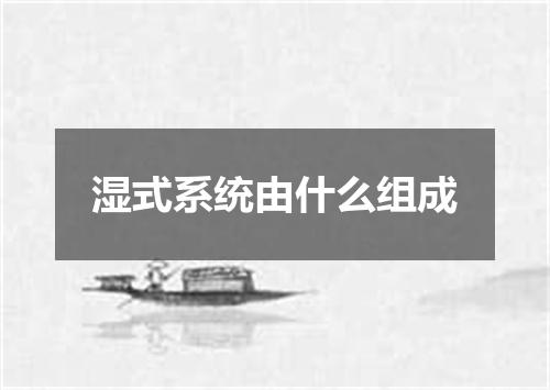 湿式系统由什么组成