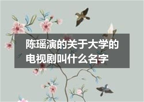 陈瑶演的关于大学的电视剧叫什么名字