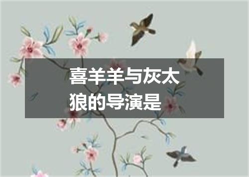 喜羊羊与灰太狼的导演是