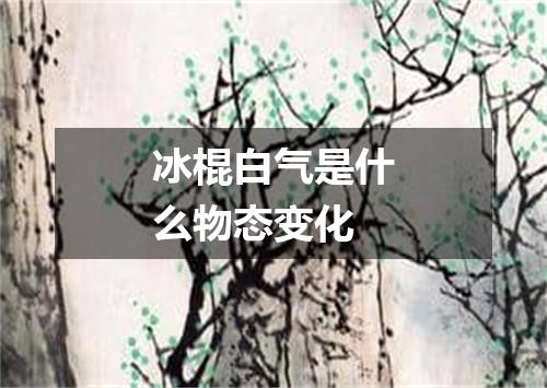 冰棍白气是什么物态变化