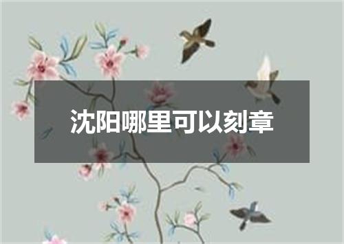 沈阳哪里可以刻章