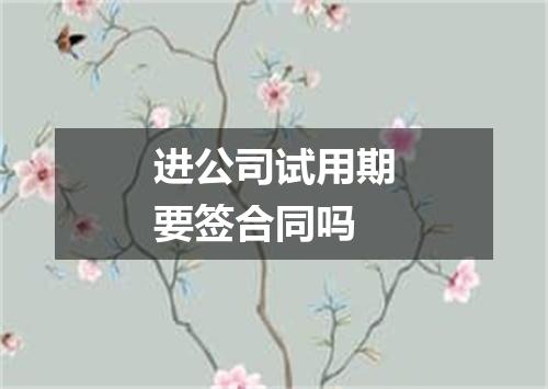 进公司试用期要签合同吗