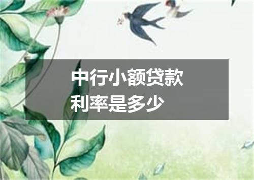 中行小额贷款利率是多少