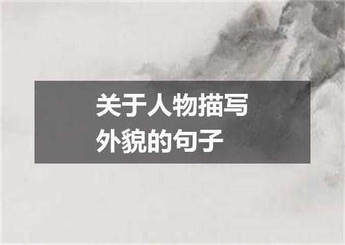 关于人物描写外貌的句子