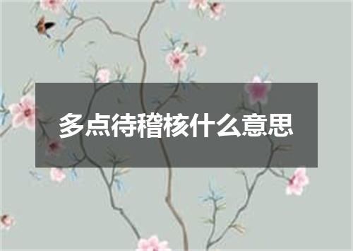 多点待稽核什么意思