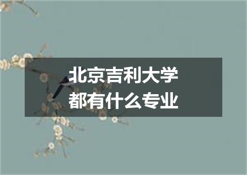 北京吉利大学都有什么专业