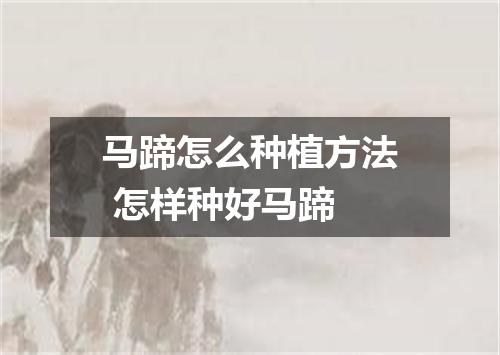 马蹄怎么种植方法 怎样种好马蹄