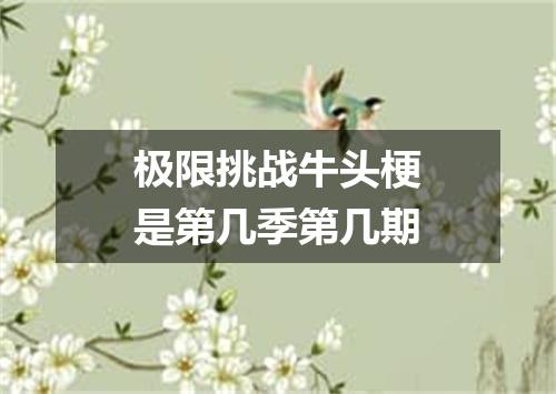 极限挑战牛头梗是第几季第几期