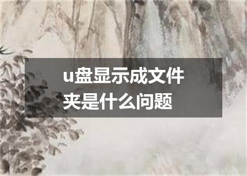 u盘显示成文件夹是什么问题