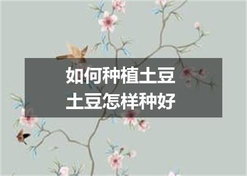 如何种植土豆 土豆怎样种好
