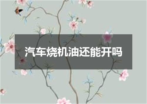 汽车烧机油还能开吗