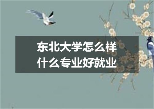 东北大学怎么样什么专业好就业