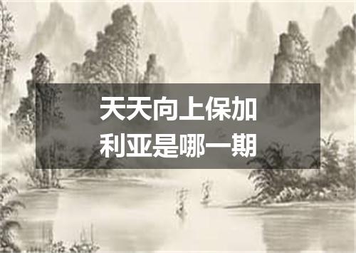 天天向上保加利亚是哪一期