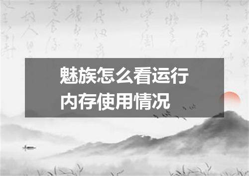 魅族怎么看运行内存使用情况