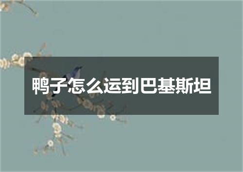鸭子怎么运到巴基斯坦