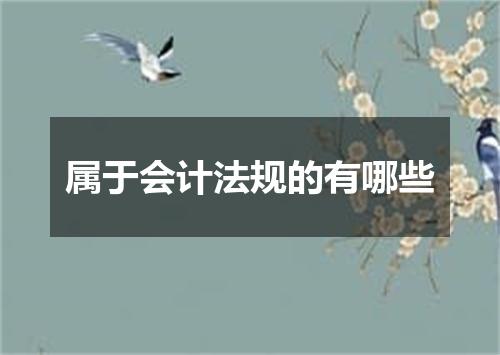 属于会计法规的有哪些
