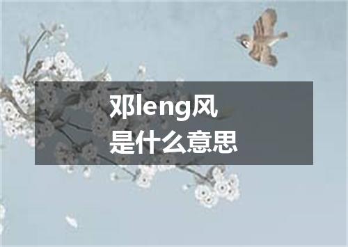 邓leng风是什么意思