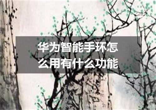 华为智能手环怎么用有什么功能