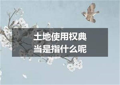 土地使用权典当是指什么呢